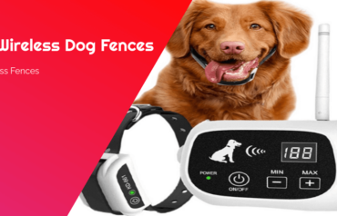 Best Wireless Dog Fences