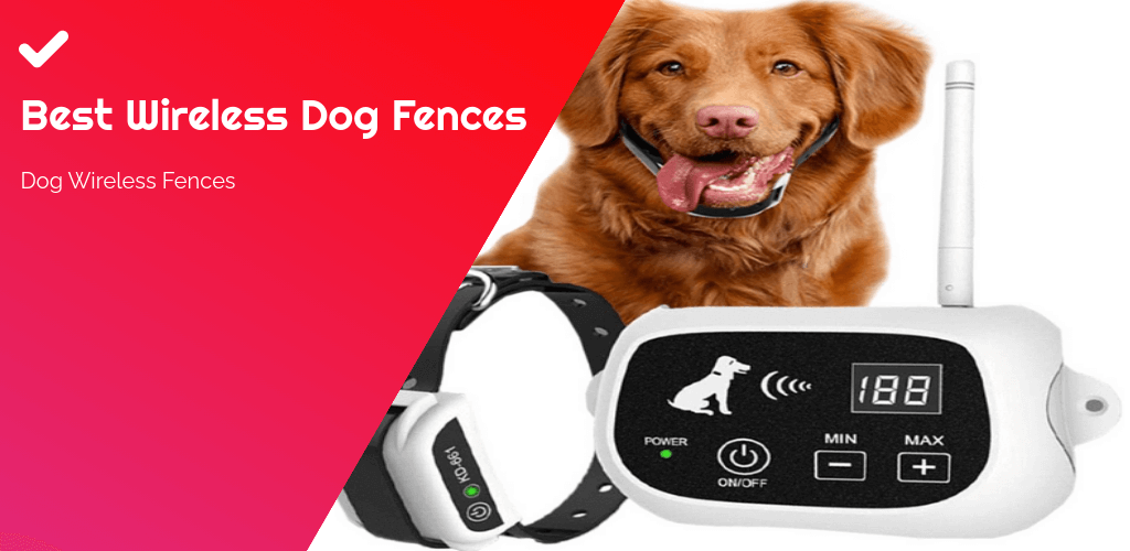 Best Wireless Dog Fences