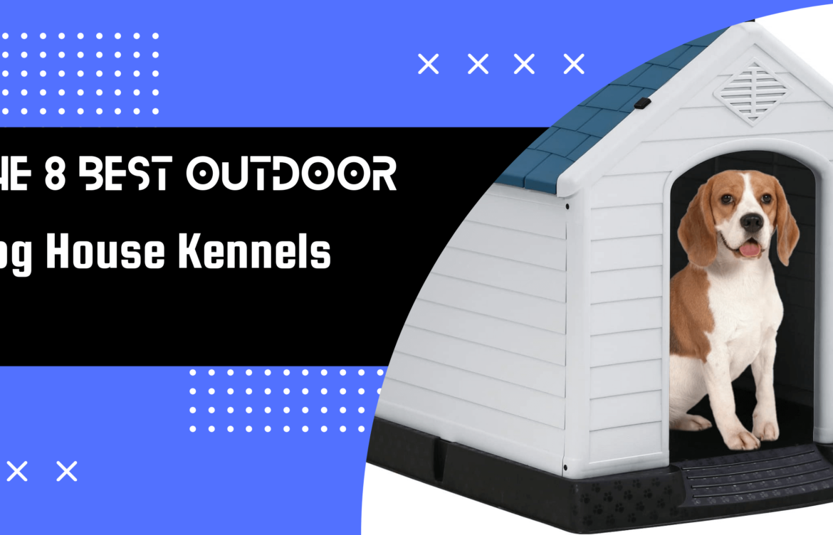 The 8 Best Outdoor Dog House Kennels 