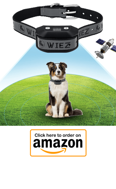 Wiez GPS Wireless Dog Fence